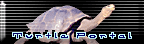button to turtle portal